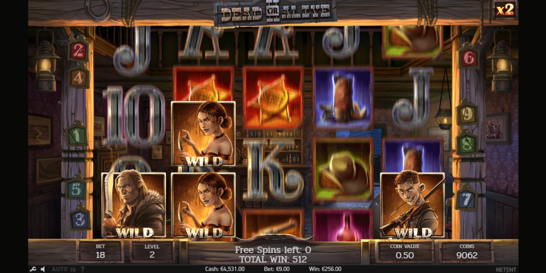 Dead or Alive 2 slot game Stopped Wild during Free Spins