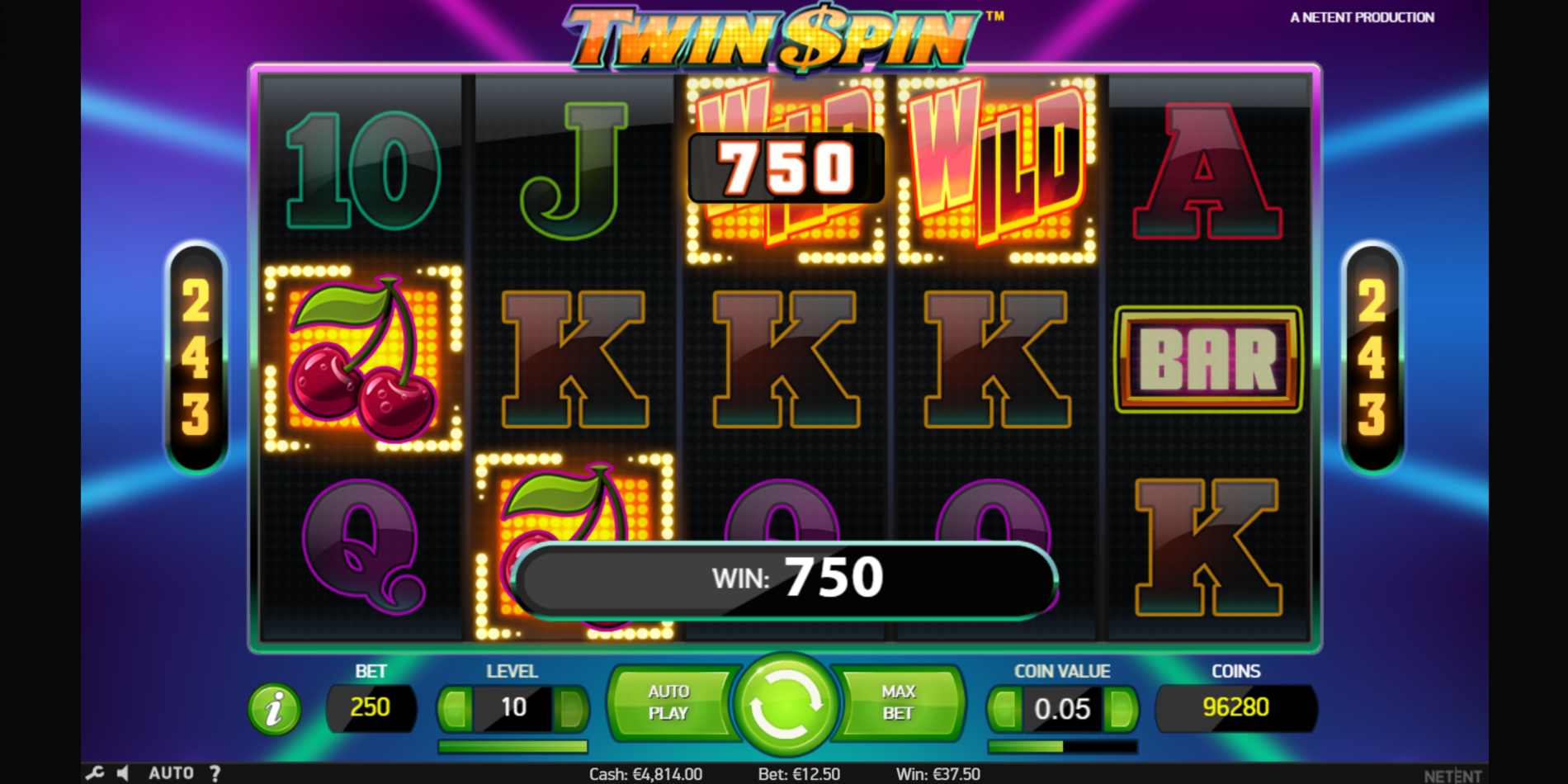 Twin Spin slot game Wild Symbol Win