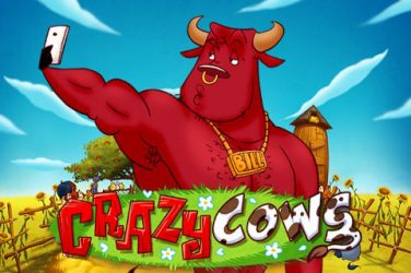 Crazy Cows recenzia slotu - Bezplatná hra DEMO