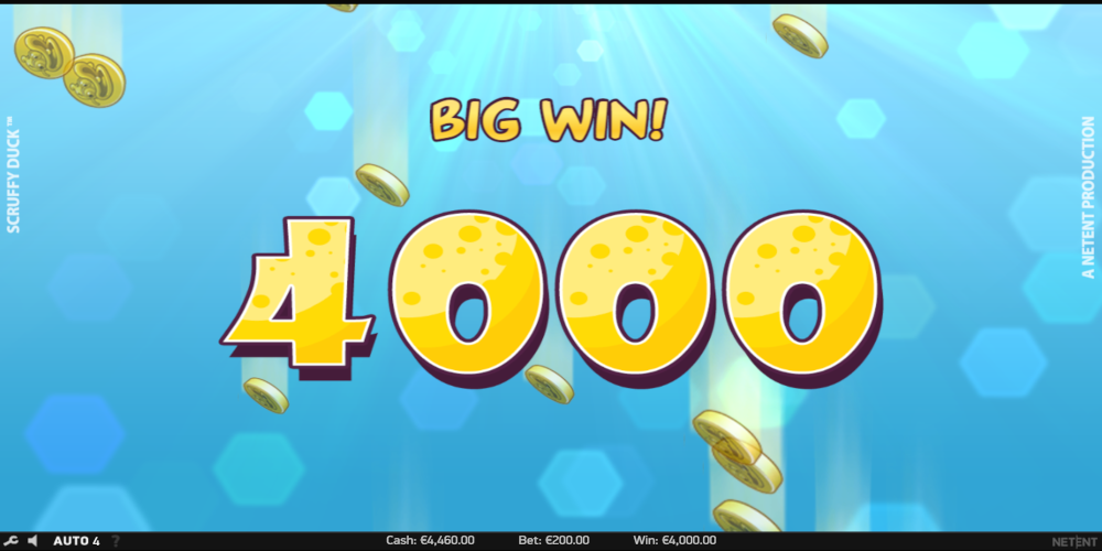 Scruffy Duck slot game Big Win