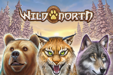 Wild North recenzia slotu - Bezplatná hra DEMO