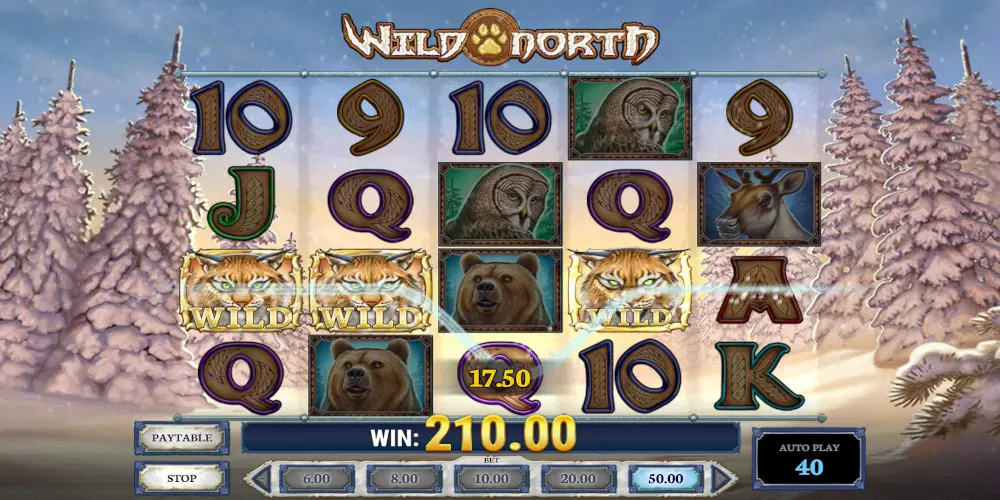 Wild North slot game Wild Symbols win
