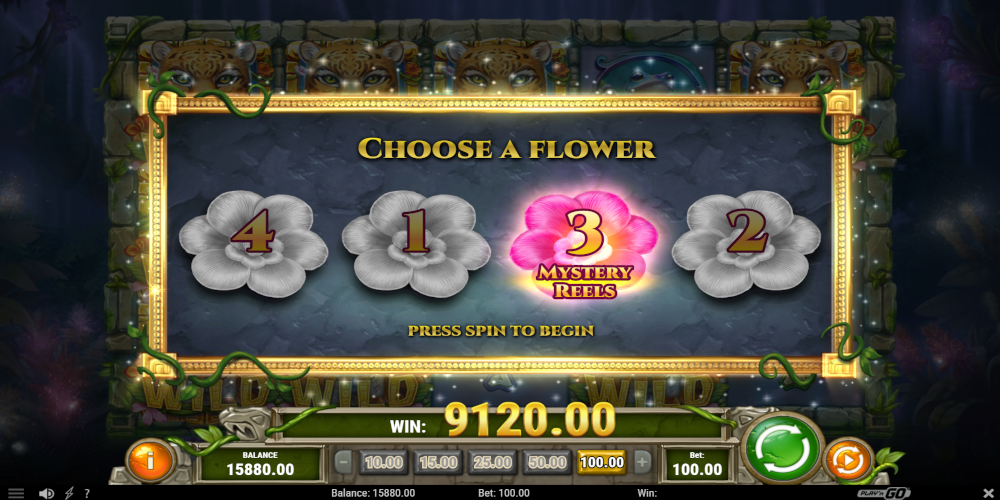 Rainforest Magic slot game Free Spin
