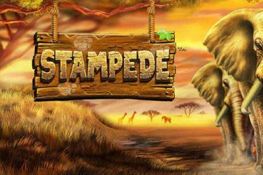 Stampede slot Bewertung, Testen Sie das Casino-Spiel DEMO kostenlos!