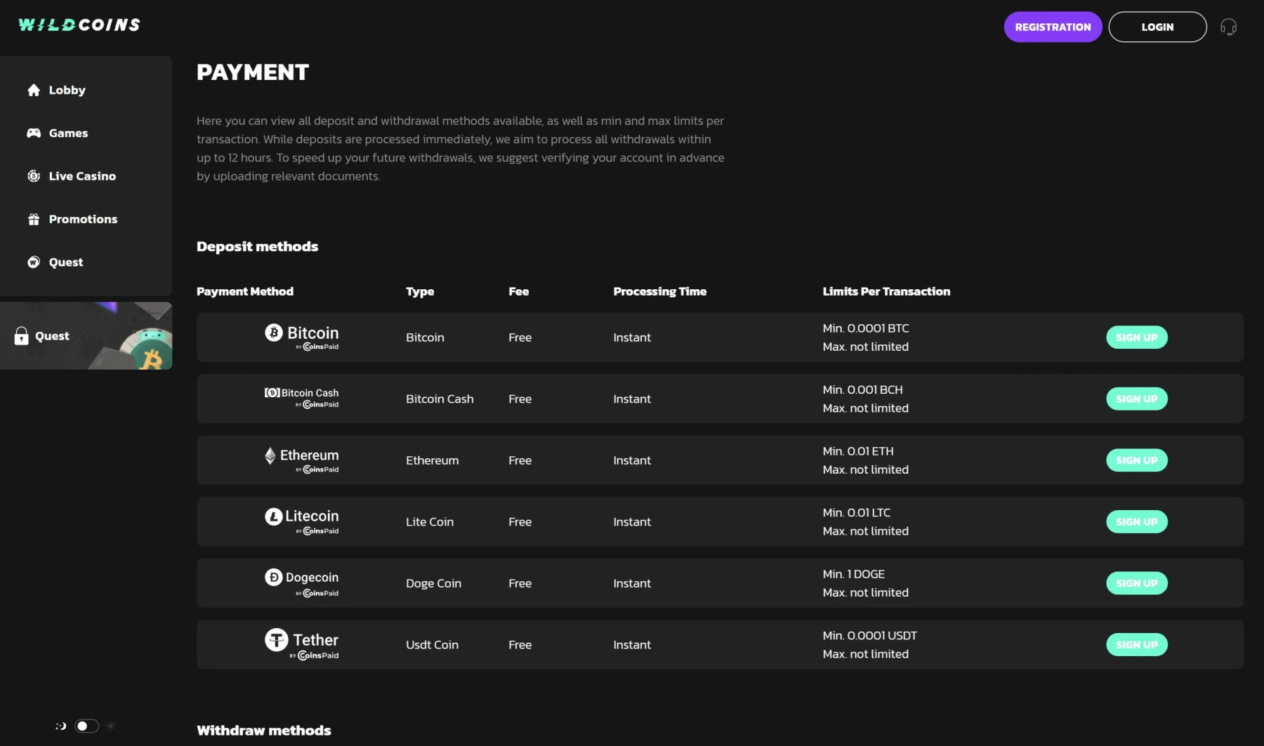wildcoins cryptocurrency payment methods bitcoin litecoin dogecoin tether coinspaid