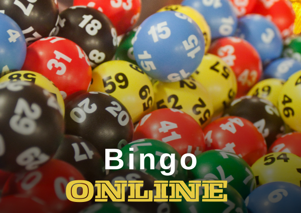 Play Online Bingo For Money in 2024 | Top 4 Bingo Online Casinos